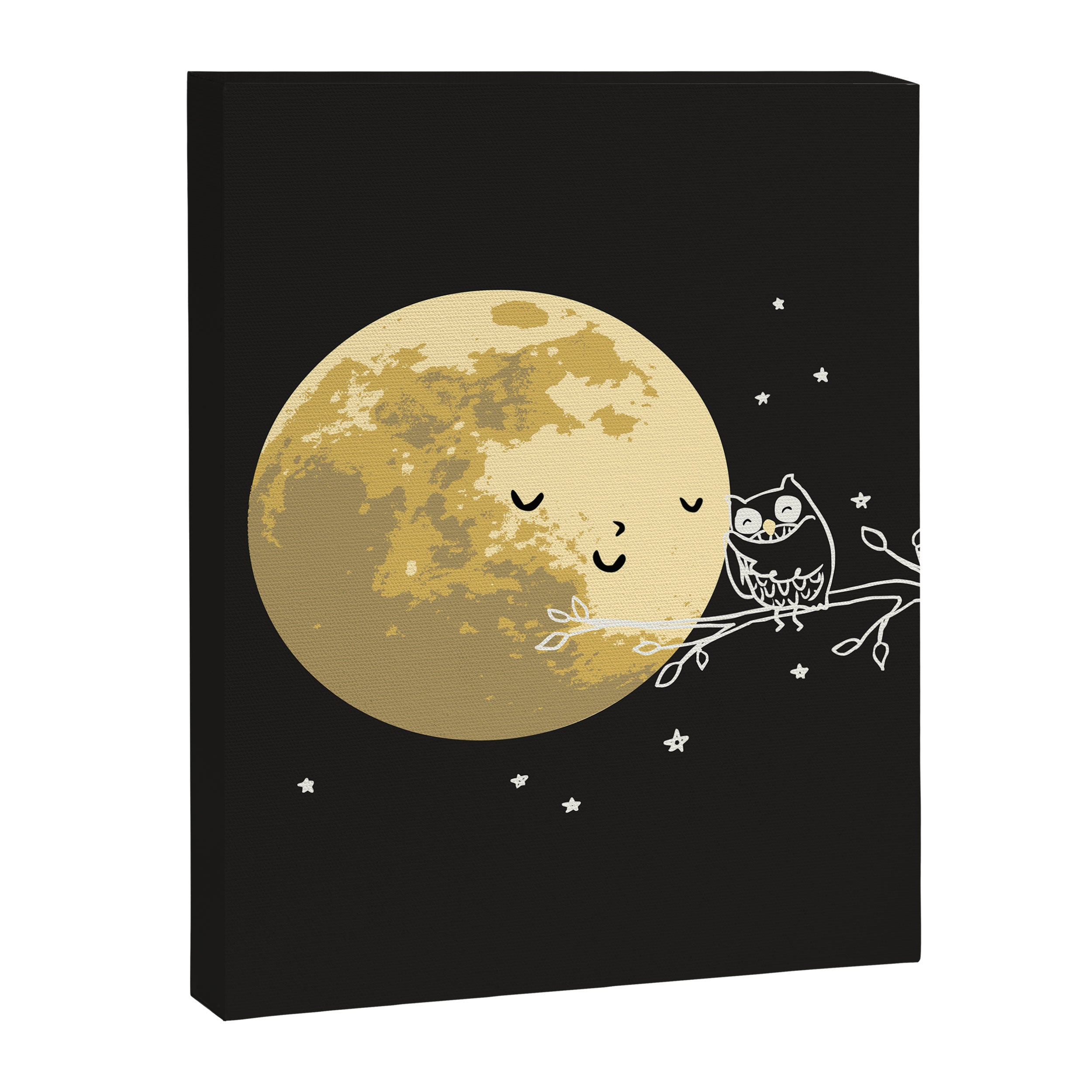 Owl and Moon Canvas Print Gallery Image 8