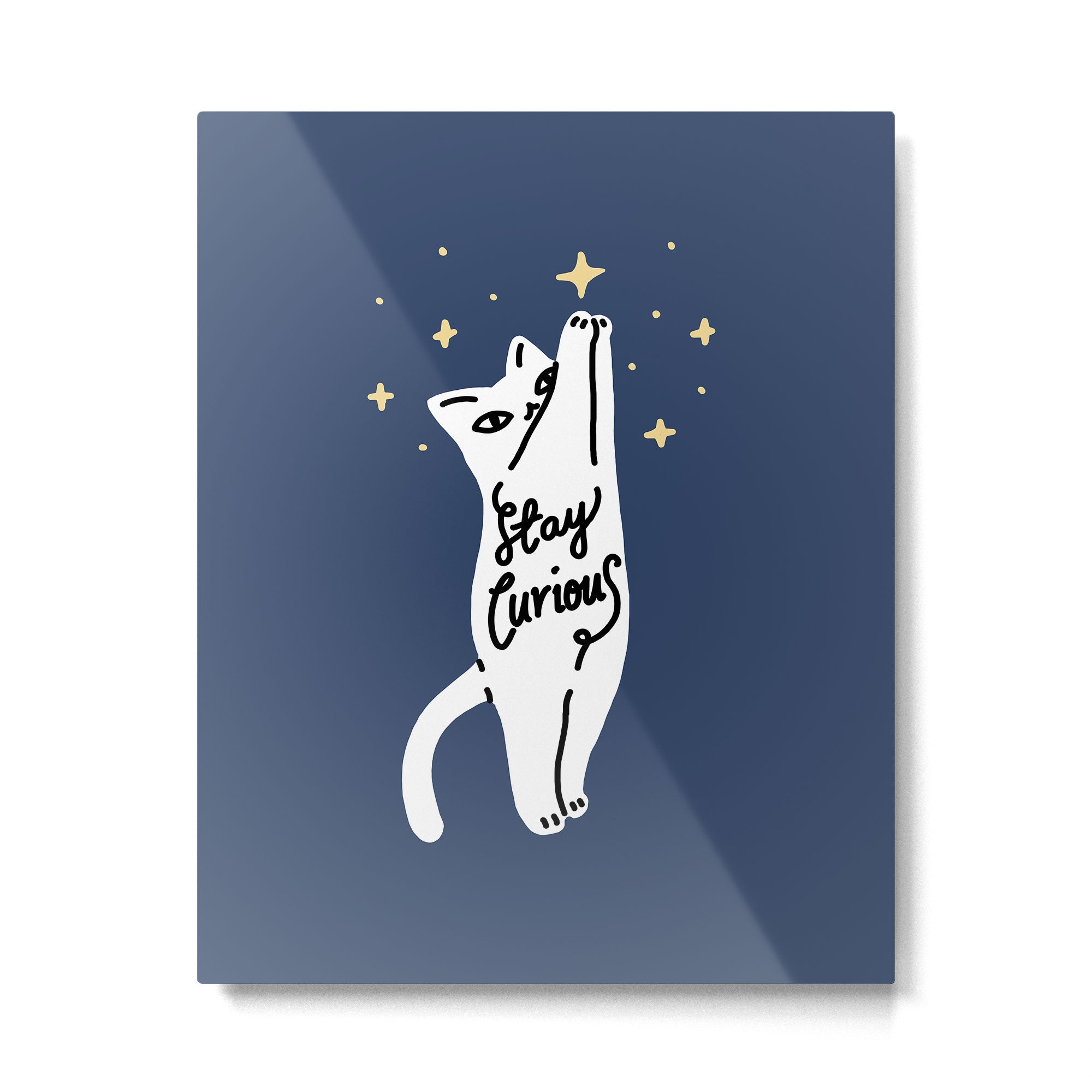 Stay Curious Cat Metal Print Gallery Image 4