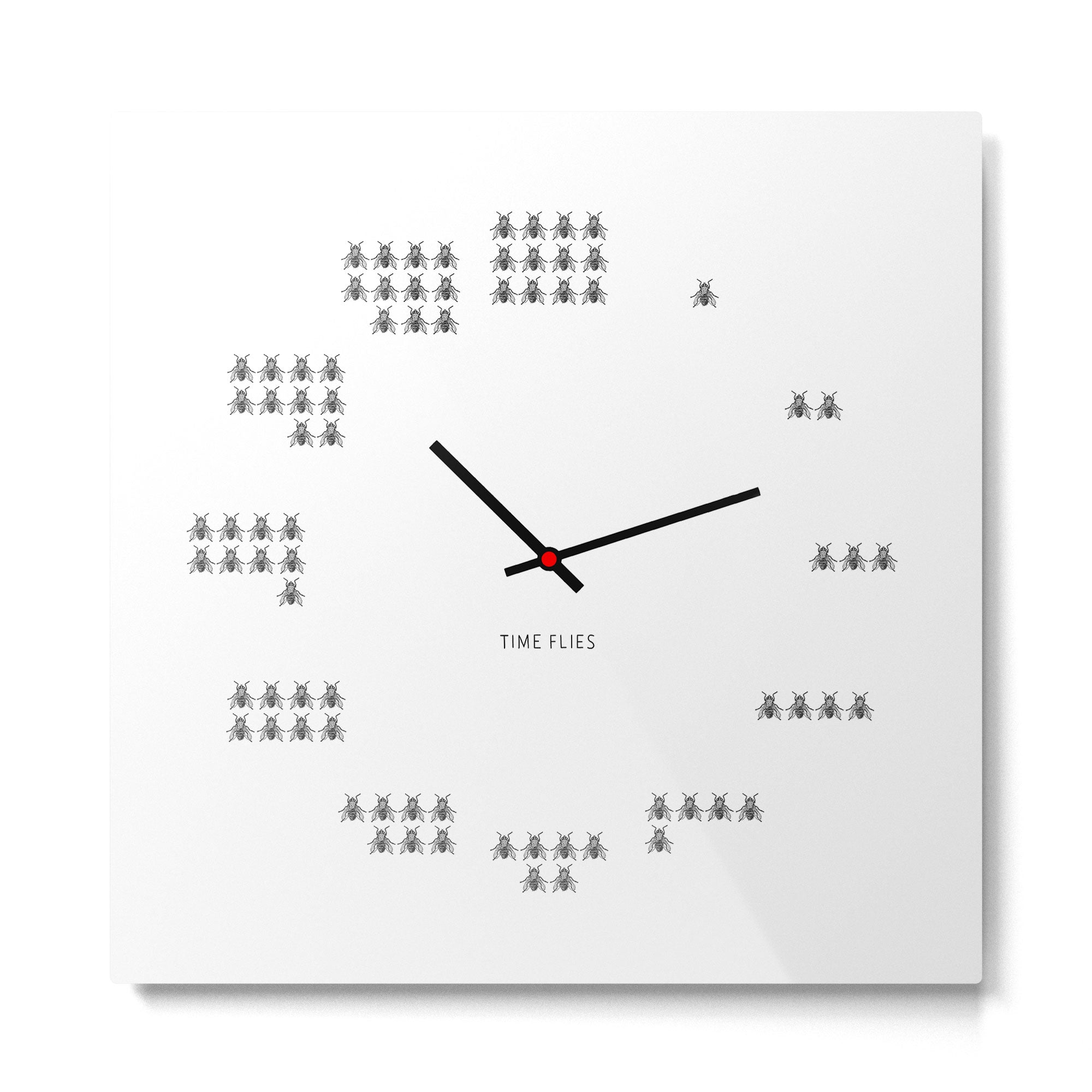 Time Flies Metal Print Gallery Image 2