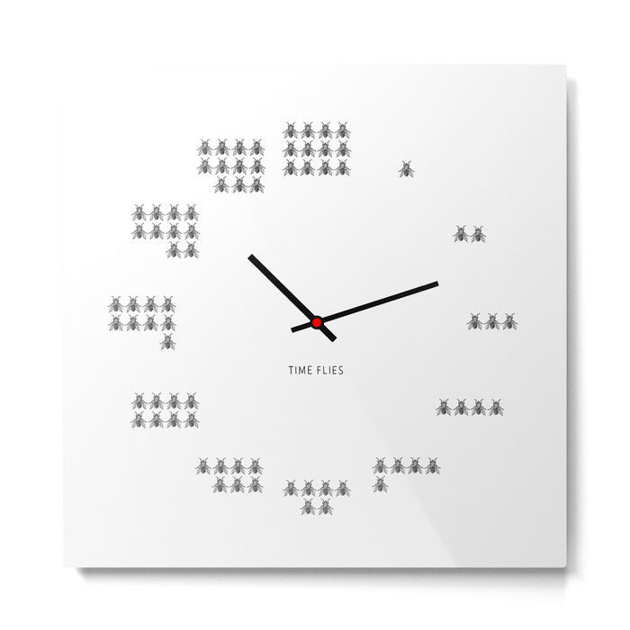 Time Flies Metal Print Gallery Image 1