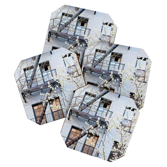Brooklyn Spring Coaster Gallery Image 1