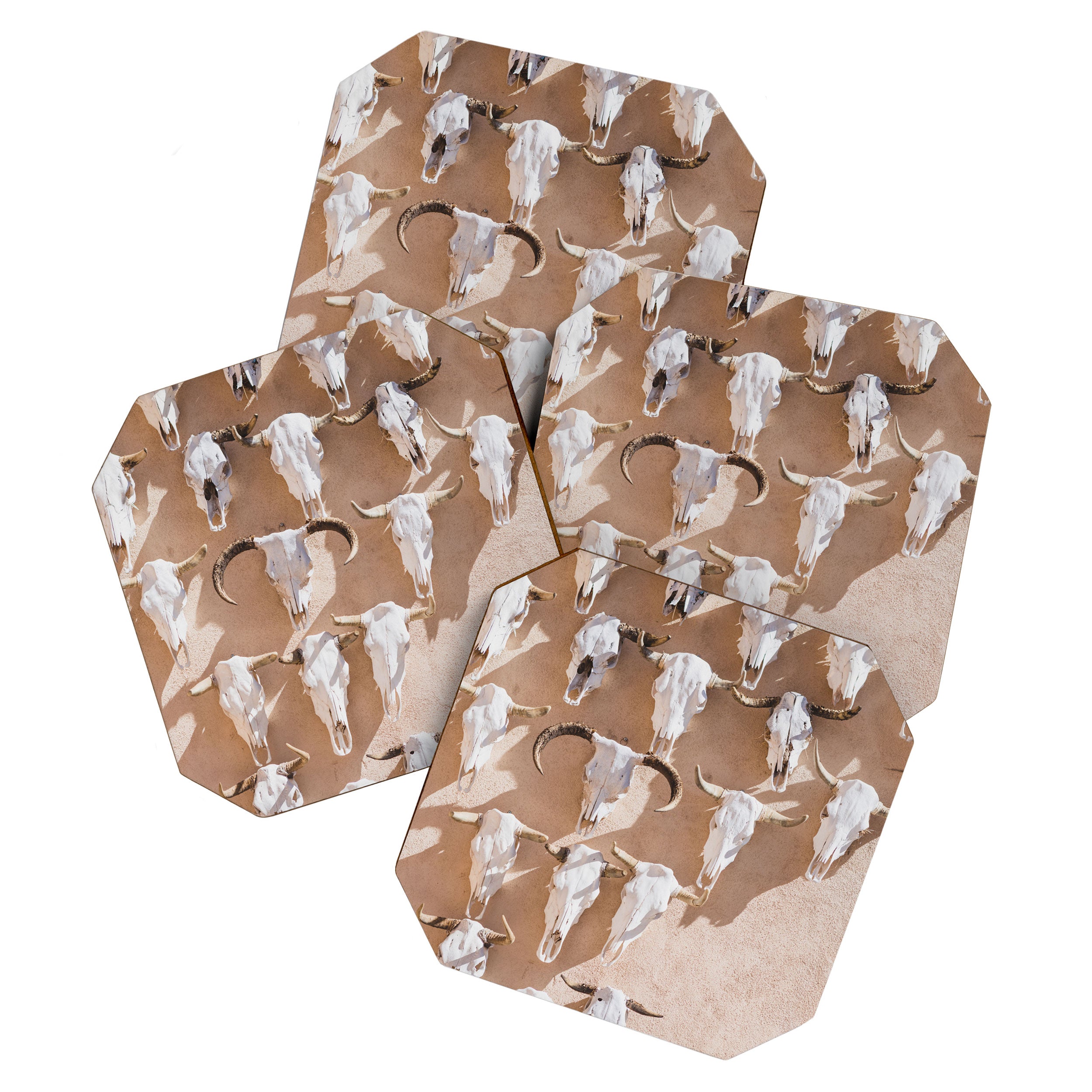 Cow Skulls Adobe - West Texas Photography Coaster Gallery Image 1