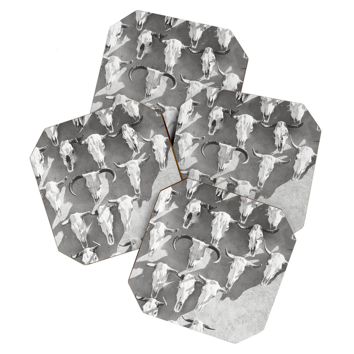 Cow Skulls - West Texas Black and White Photography Coaster Gallery Image 1