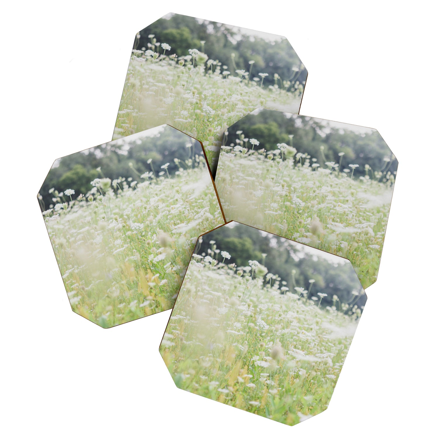 In a Field of Wildflowers Coaster Gallery Image 1