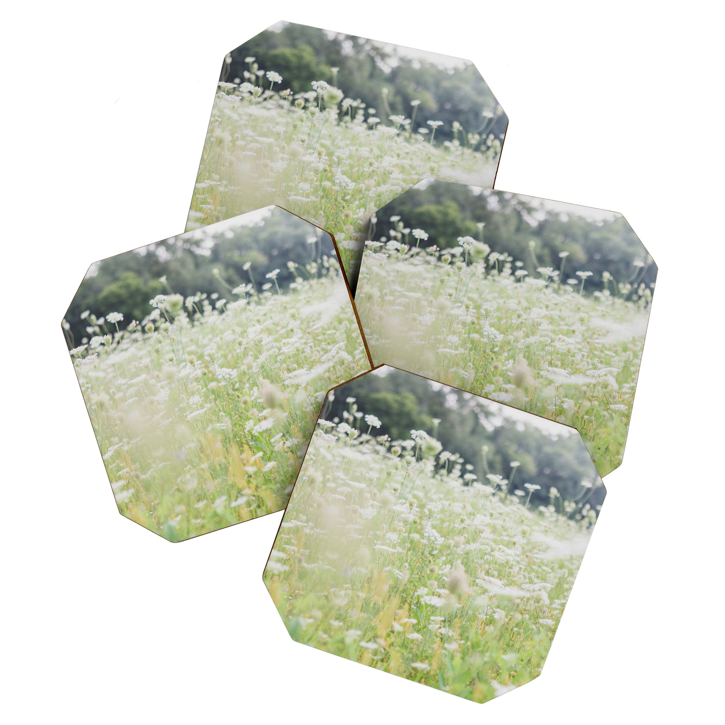 In a Field of Wildflowers Coaster Gallery Image 1