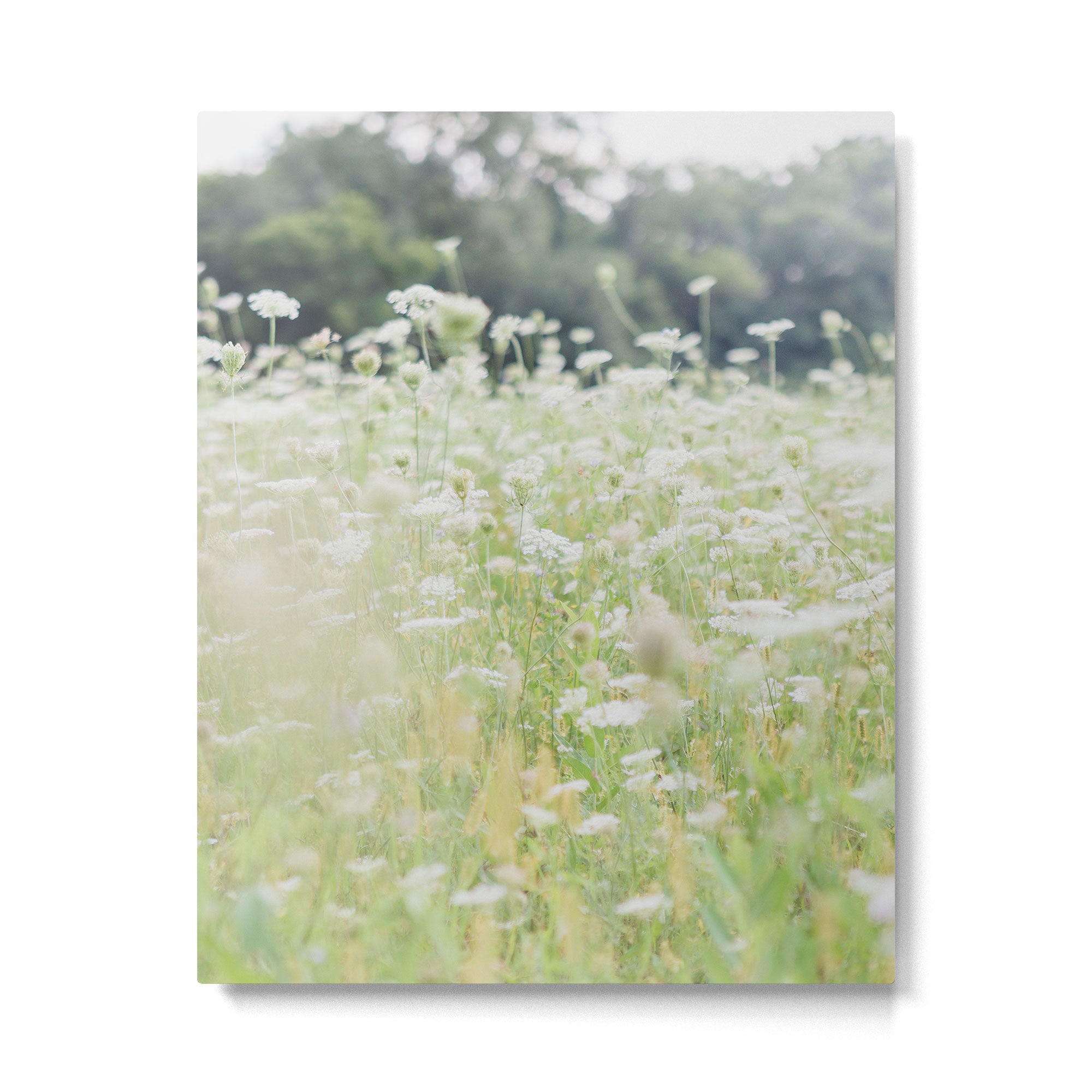 In a Field of Wildflowers Metal Print Gallery Image 4