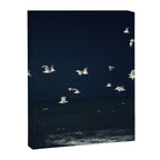 Birds in Flight - Dark Blue Sea - Ocean Print - Travel photography Canvas Print Gallery Image 8