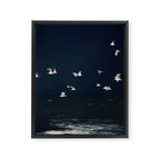 Birds in Flight - Dark Blue Sea - Ocean Print - Travel photography Framed Canvas Print Gallery Image 8