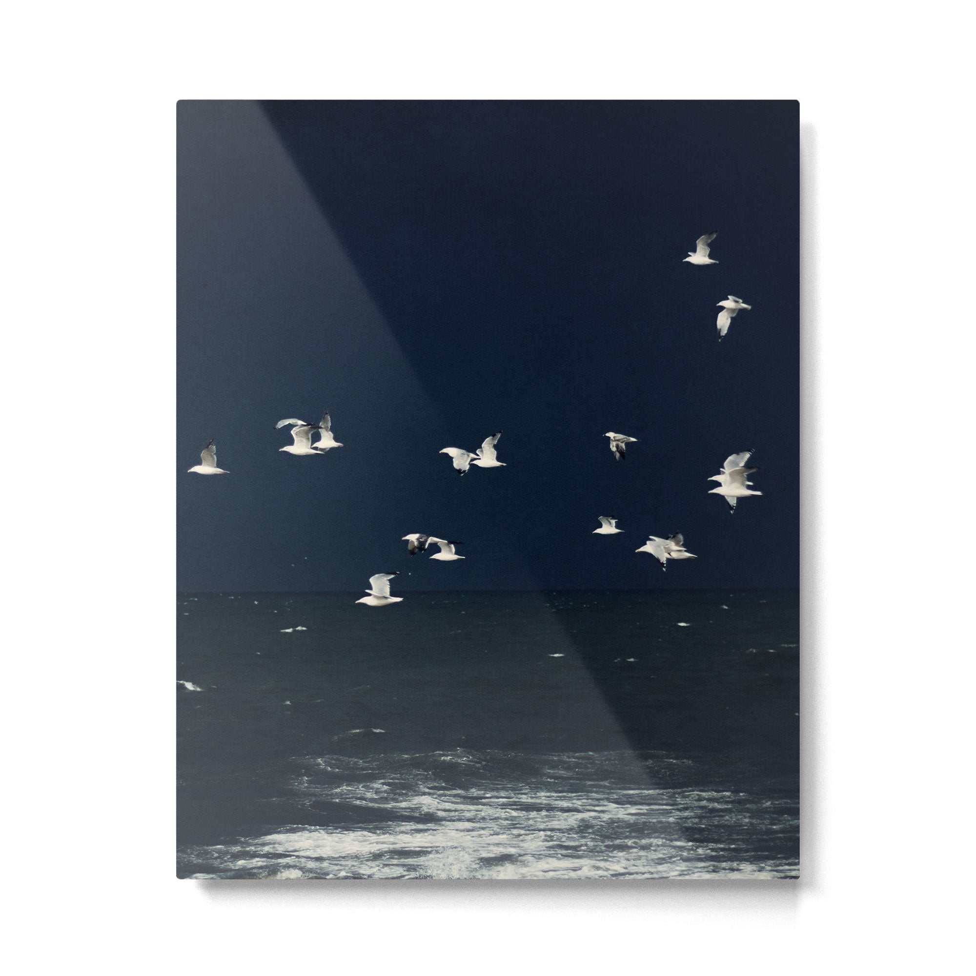 Birds in Flight - Dark Blue Sea - Ocean Print - Travel photography Metal Print Gallery Image 6