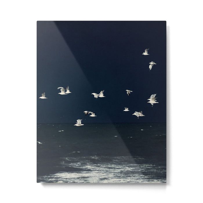 Birds in Flight - Dark Blue Sea - Ocean Print - Travel photography Metal Print Gallery Image 1