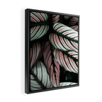 Calathea Whitestar Leaves photography by Ingrid Beddoes  Framed Canvas Print Gallery Image 2