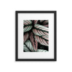 Calathea Whitestar Leaves photography by Ingrid Beddoes  Framed Art Print Gallery Image 5