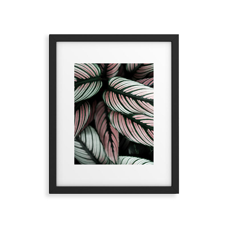 Calathea Whitestar Leaves photography by Ingrid Beddoes  Framed Art Print Gallery Image 5