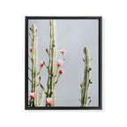 Cereus Cactus Blush - Desert Cactus - Pink Flowers - Travel Nature photography by Ingrid Beddoes Framed Canvas Print Gallery Image 6
