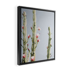 Cereus Cactus Blush - Desert Cactus - Pink Flowers - Travel Nature photography by Ingrid Beddoes Framed Canvas Print Gallery Image 2