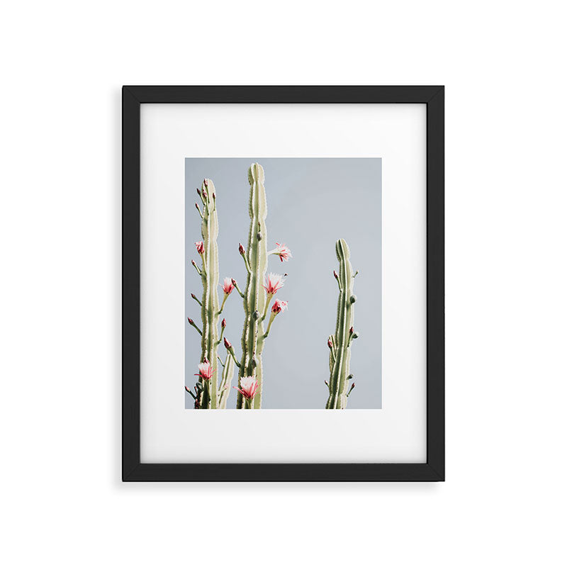 Cereus Cactus Blush - Desert Cactus - Pink Flowers - Travel Nature photography by Ingrid Beddoes Framed Art Print Gallery Image 4