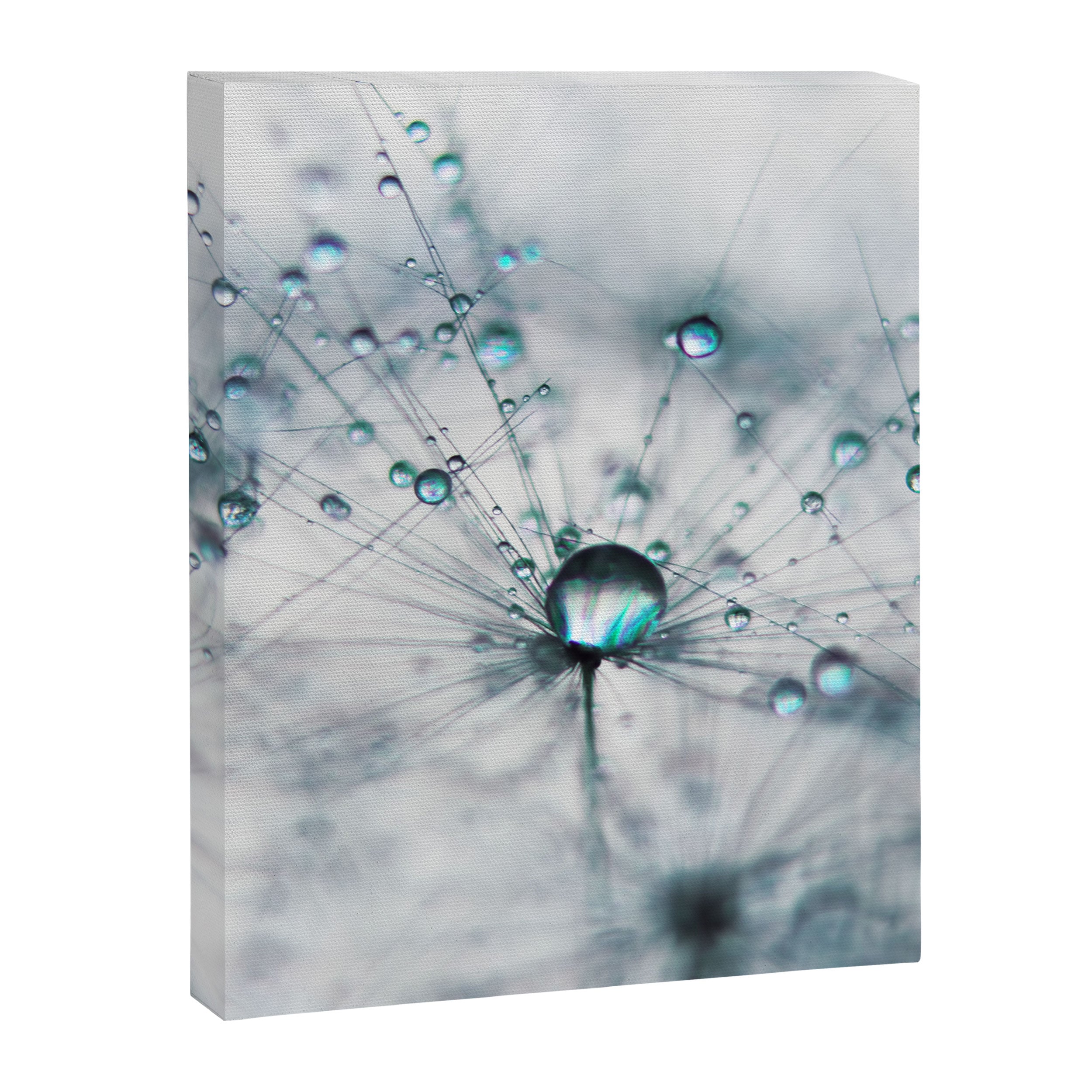 Dandelion Blue - Elegant Flower photography by Ingrid Beddoes Canvas Print Gallery Image 3