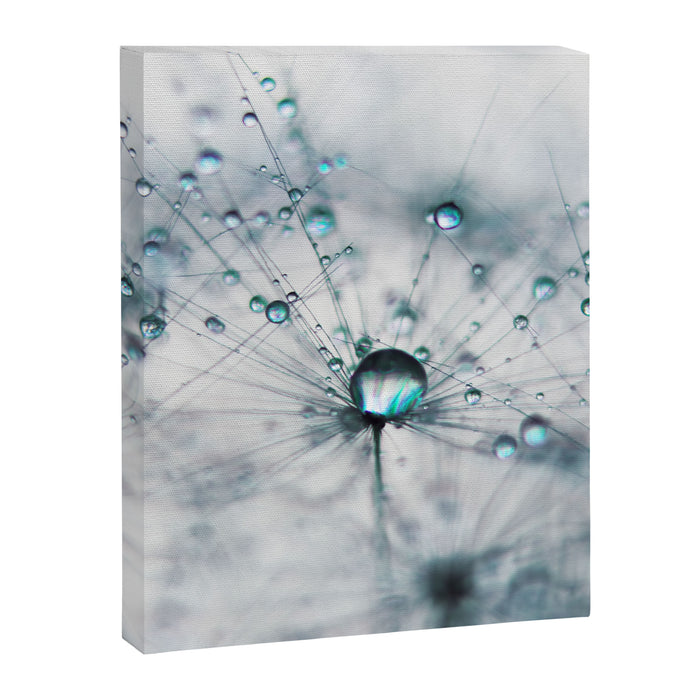 Dandelion Blue - Elegant Flower photography by Ingrid Beddoes Canvas Print Gallery Image 1
