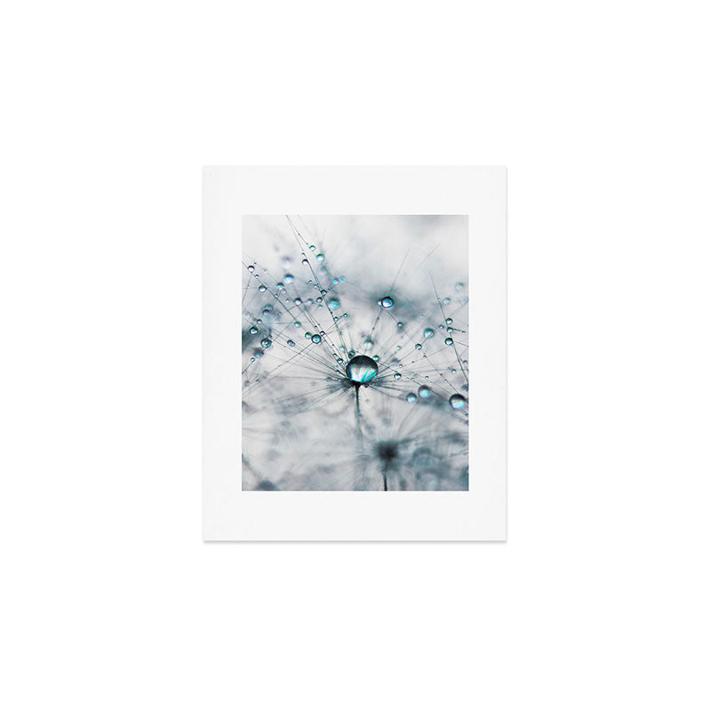 Dandelion Blue - Elegant Flower photography by Ingrid Beddoes Art Print Gallery Image 1