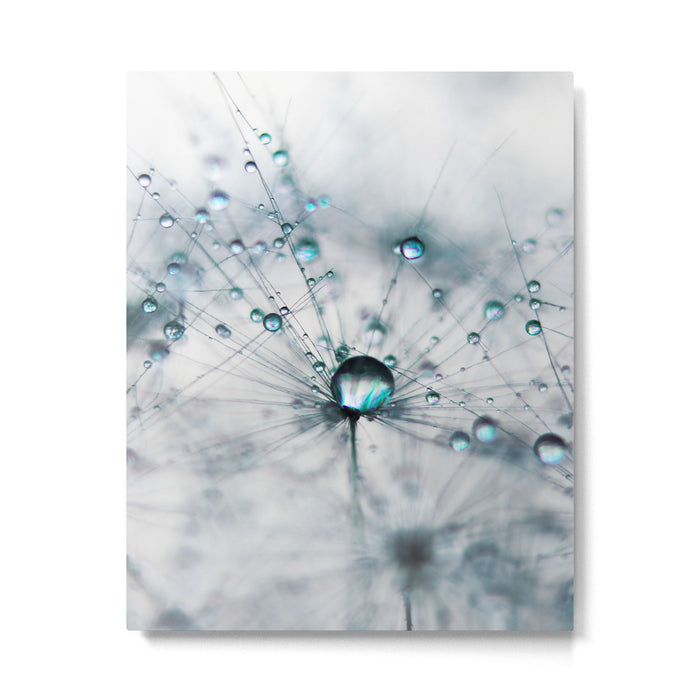 Dandelion Blue - Elegant Flower photography by Ingrid Beddoes Metal Print Gallery Image 1