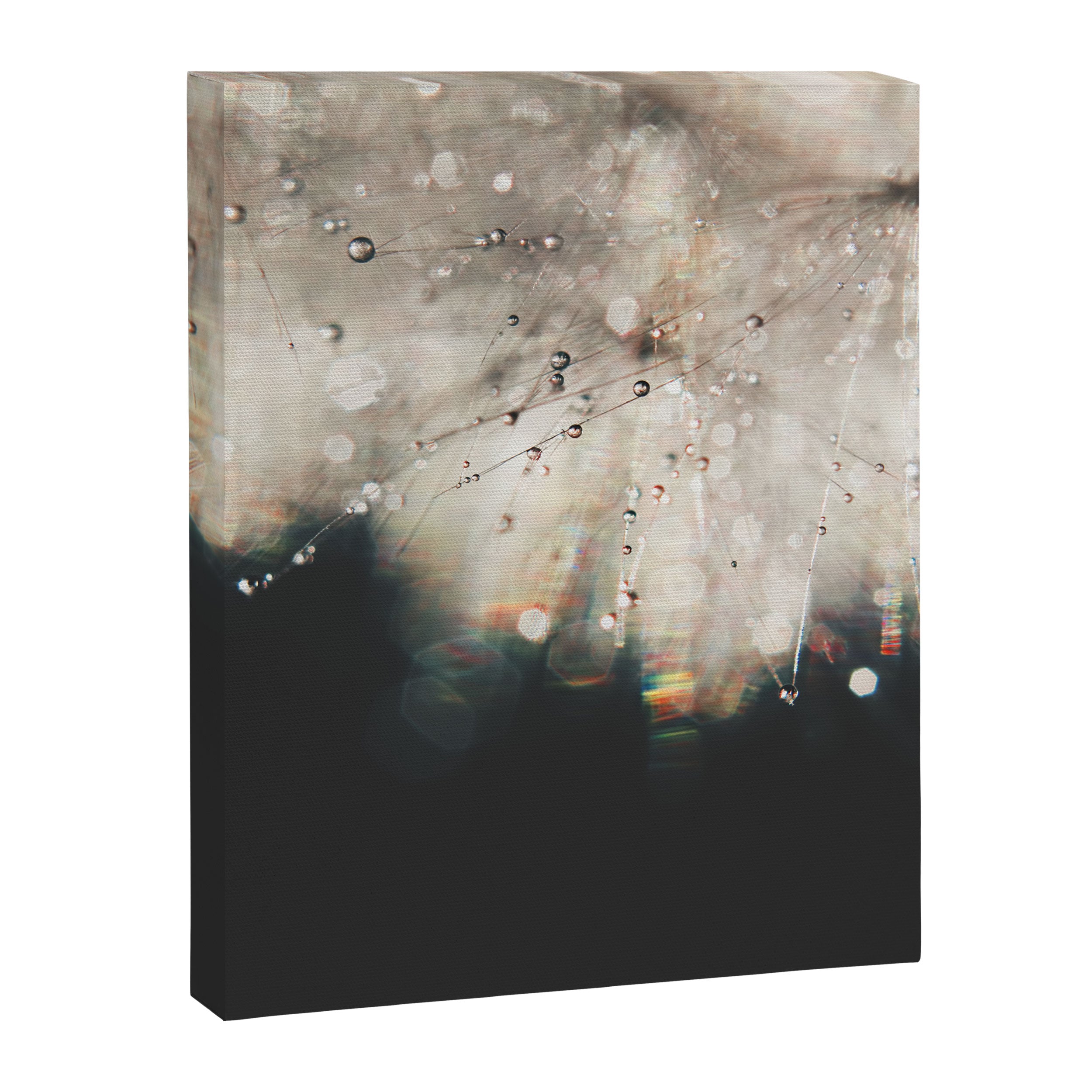 Dandelion Silver and Black rainbow sparkle Canvas Print Gallery Image 6