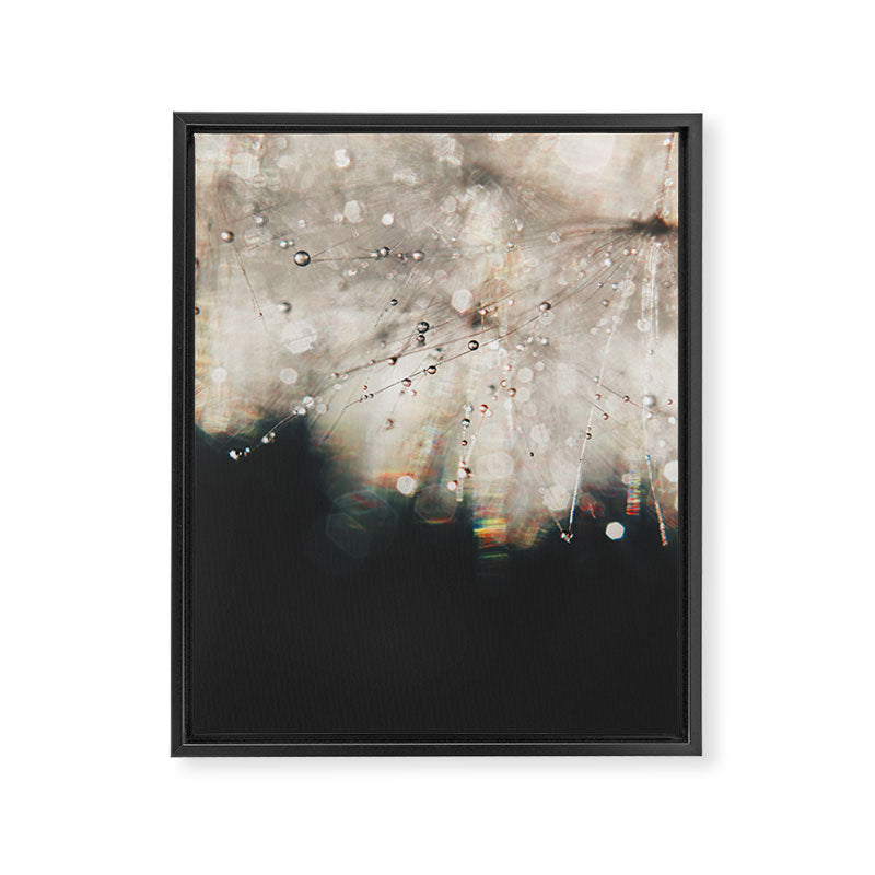 Dandelion Silver and Black rainbow sparkle Framed Canvas Print Gallery Image 6