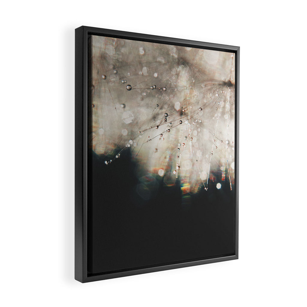 Dandelion Silver and Black rainbow sparkle Framed Canvas Print Gallery Image 2