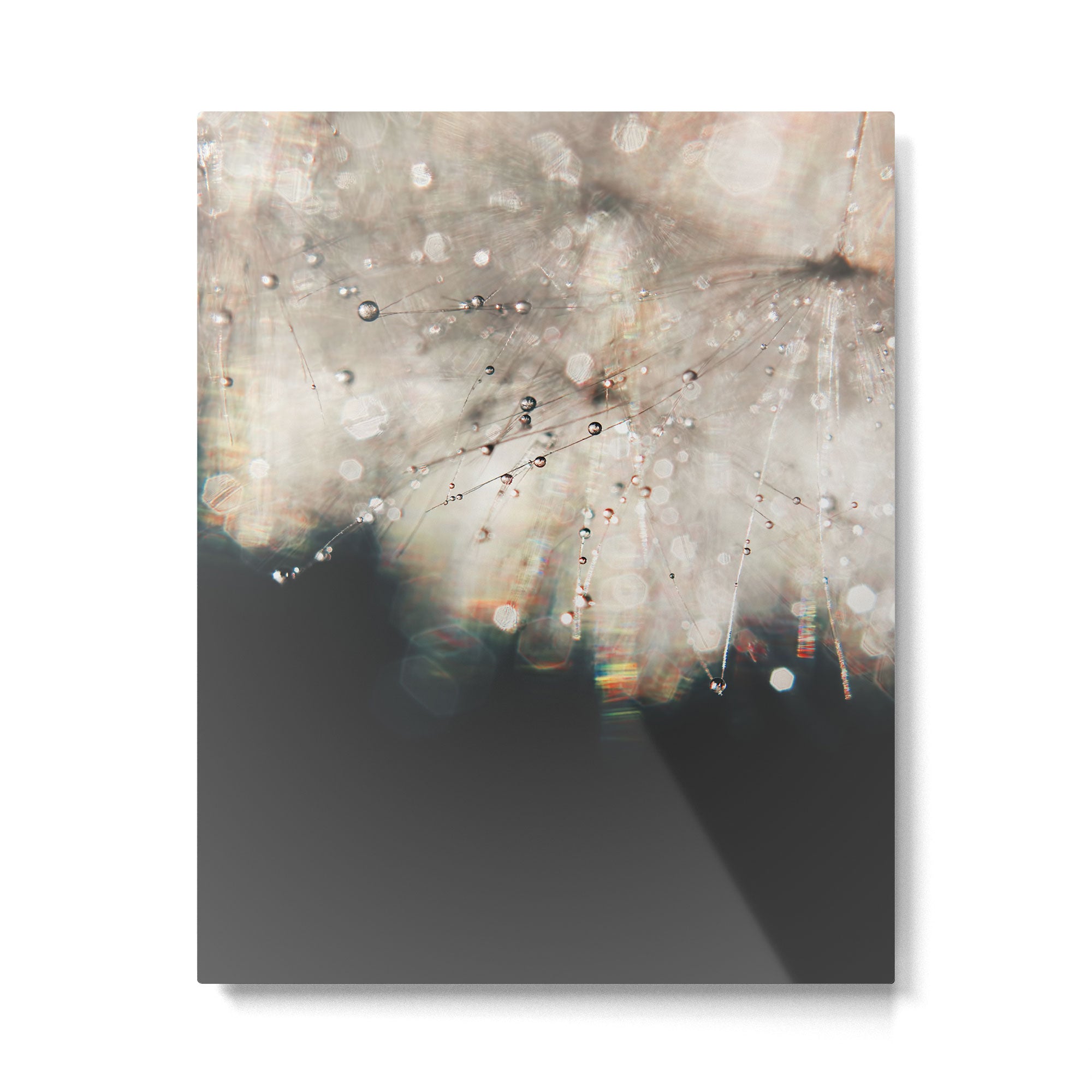 Dandelion Silver and Black rainbow sparkle Metal Print Gallery Image 4