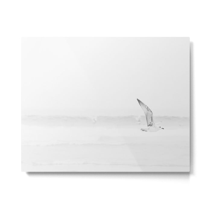 Minimal Black and White Beach Print - Bird Flight - Elegant Ocean Print - Seagull - Sea Photography  Metal Print Gallery Image 1
