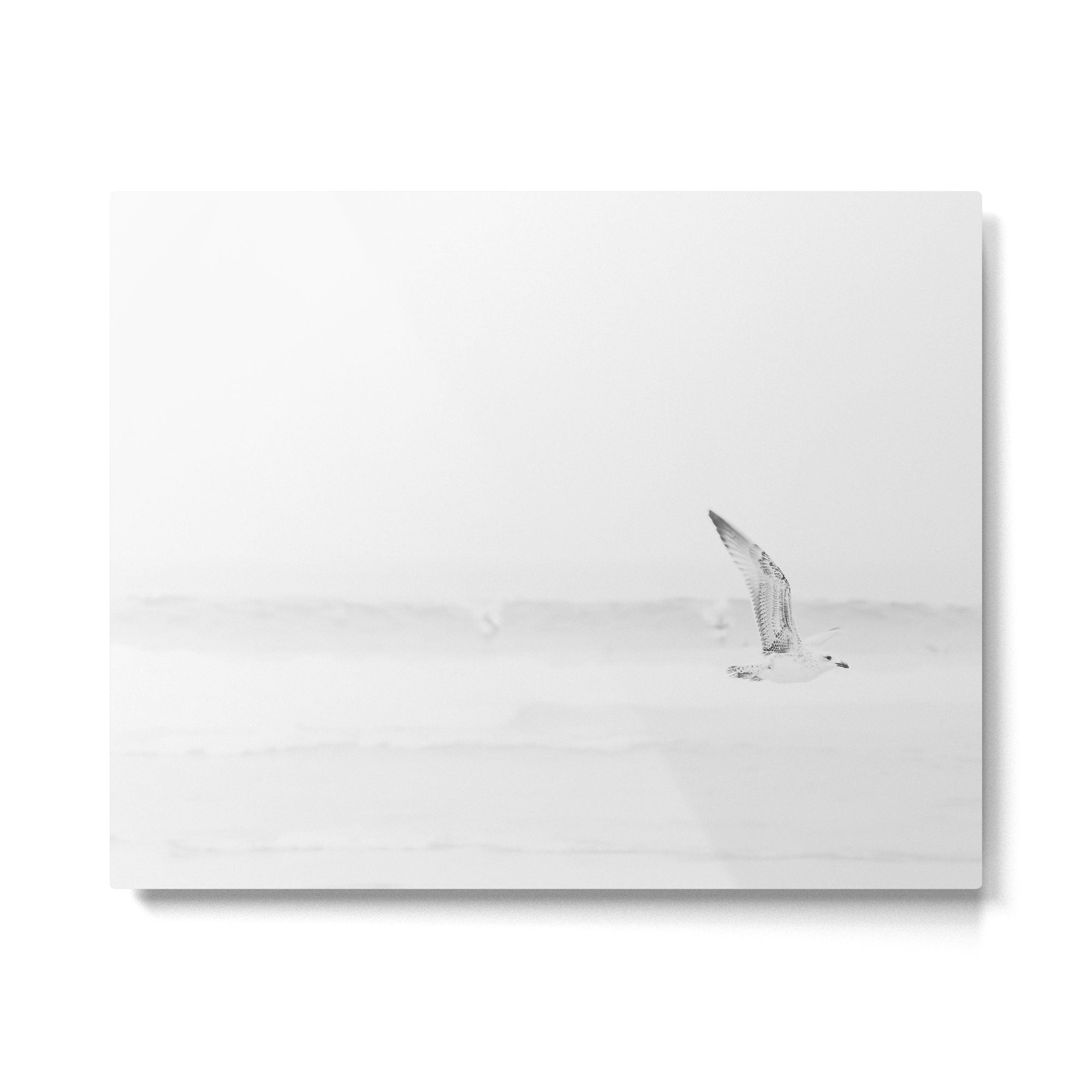 Minimal Black and White Beach Print - Bird Flight - Elegant Ocean Print - Seagull - Sea Photography  Metal Print Gallery Image 4