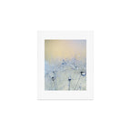 flower photography - dandelion - pastel yellow baby blue floral Art Print Gallery Image 1