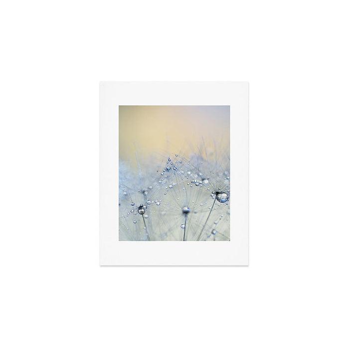 flower photography - dandelion - pastel yellow baby blue floral Art Print Gallery Image 1