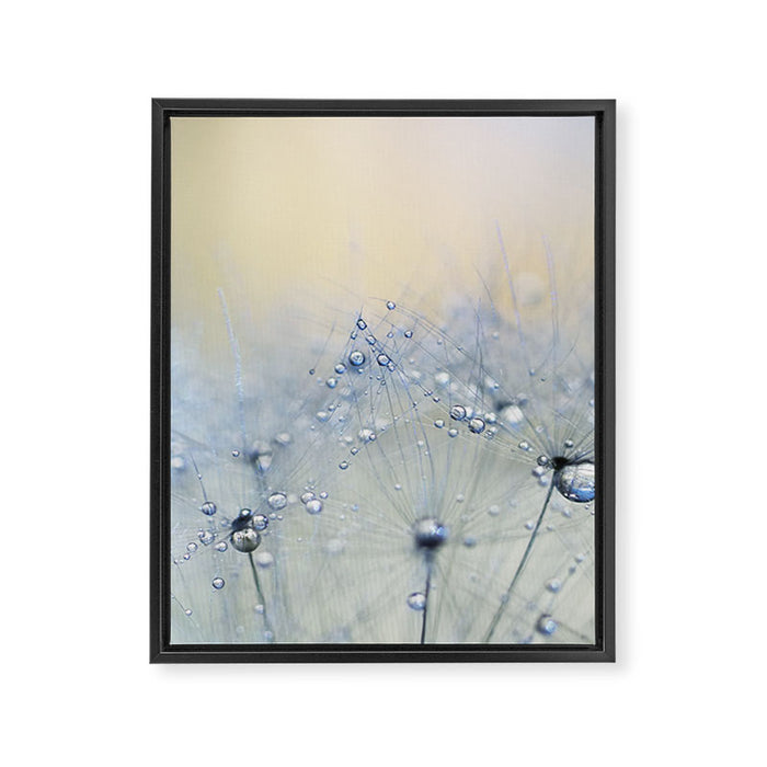 flower photography - dandelion - pastel yellow baby blue floral Framed Canvas Print Gallery Image 1
