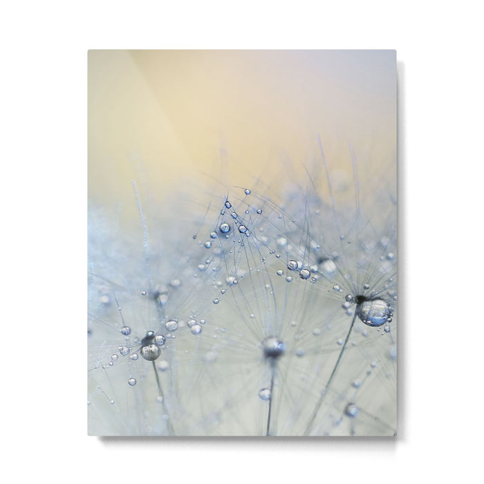 flower photography - dandelion - pastel yellow baby blue floral Metal Print Gallery Image 1