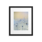 flower photography - dandelion - pastel yellow baby blue floral Framed Art Print Gallery Image 4