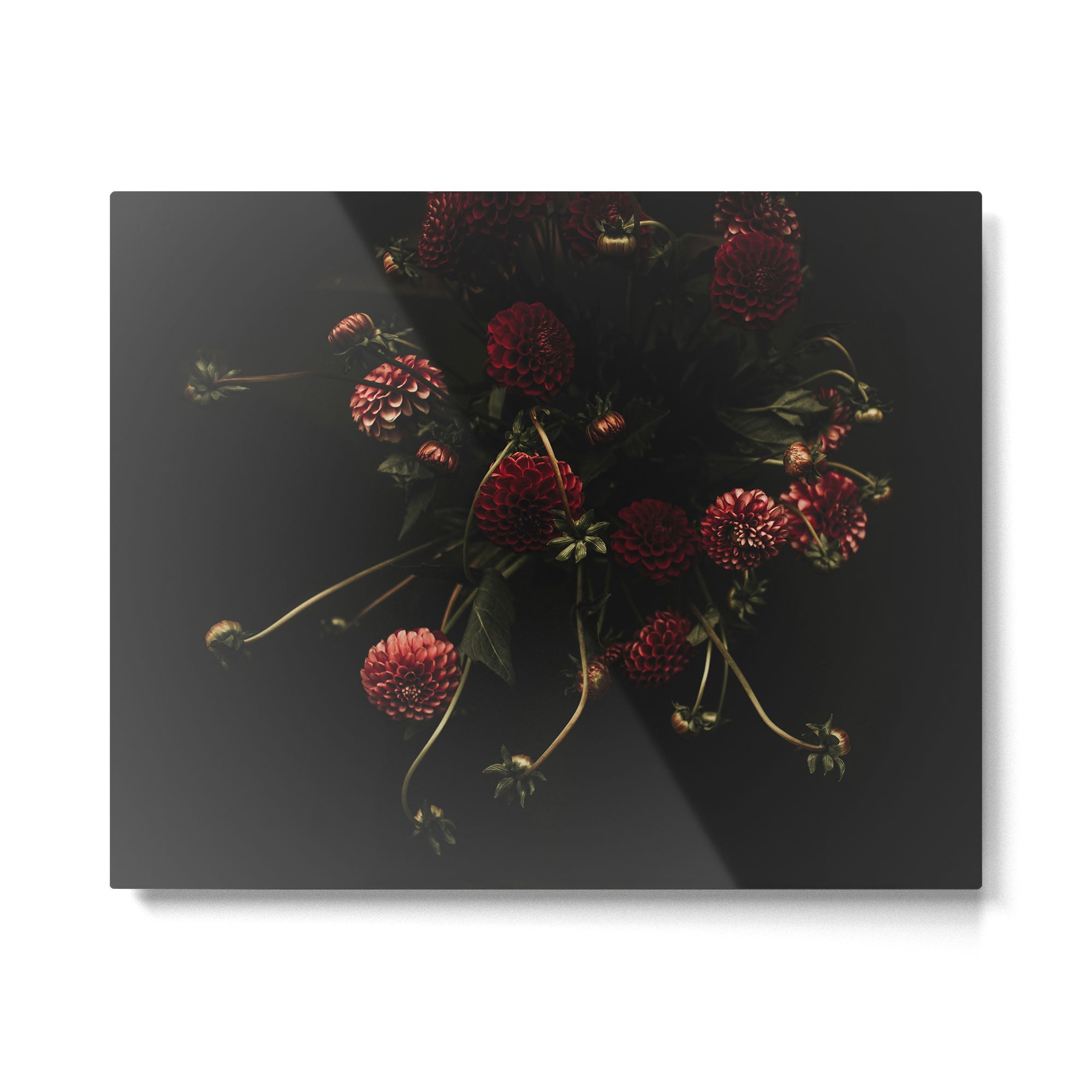 Flower Photography - Red Flowers - Dahlias - Elegant Dark Dramatic Floral print Metal Print Gallery Image 6