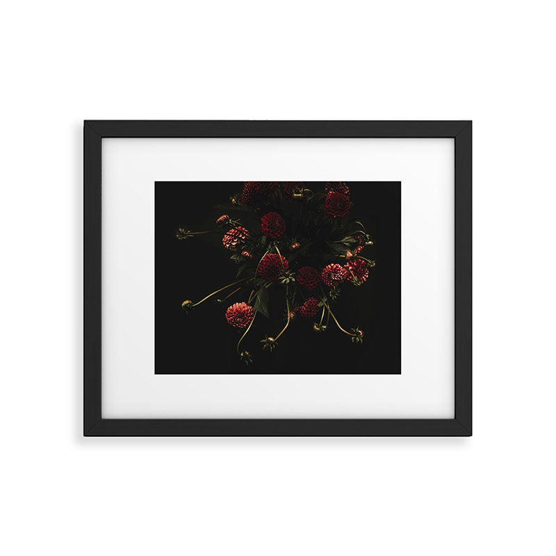 Flower Photography - Red Flowers - Dahlias - Elegant Dark Dramatic Floral print Framed Art Print Gallery Image 4