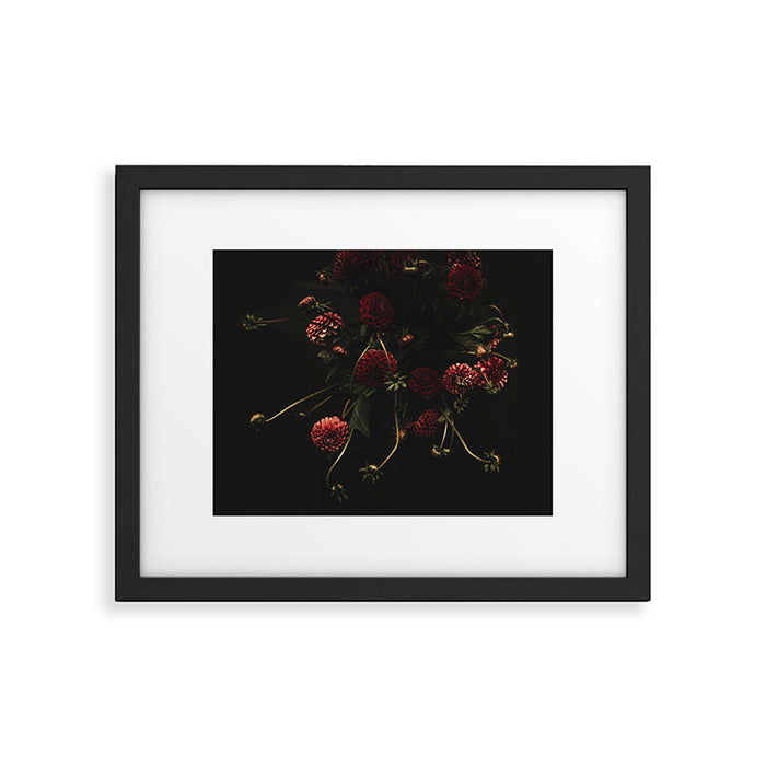 Flower Photography - Red Flowers - Dahlias - Elegant Dark Dramatic Floral print Framed Art Print Gallery Image 1