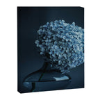 Flowers - Dark Blue Hydrangea Still Life Canvas Print Gallery Image 8
