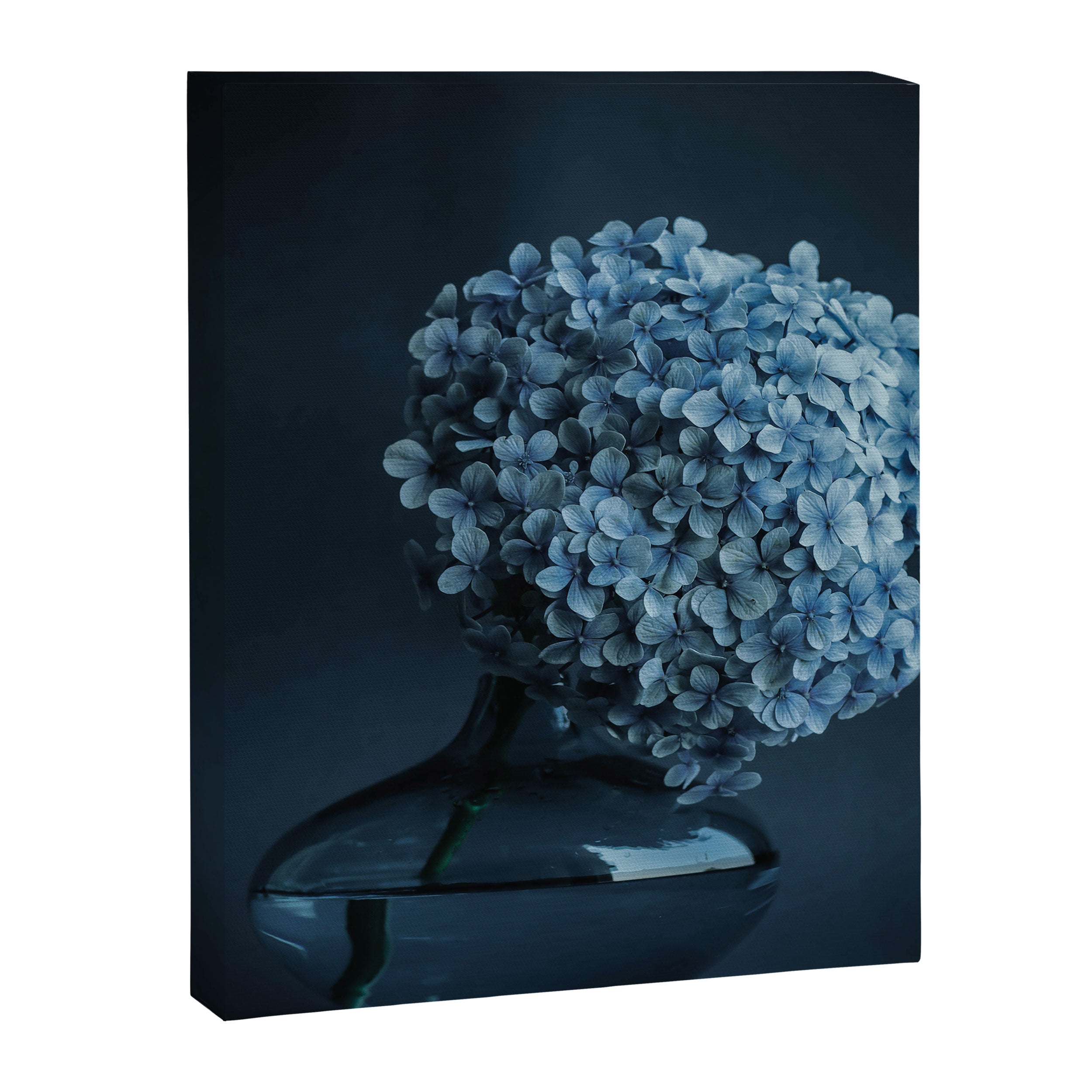 Flowers - Dark Blue Hydrangea Still Life Canvas Print Gallery Image 8