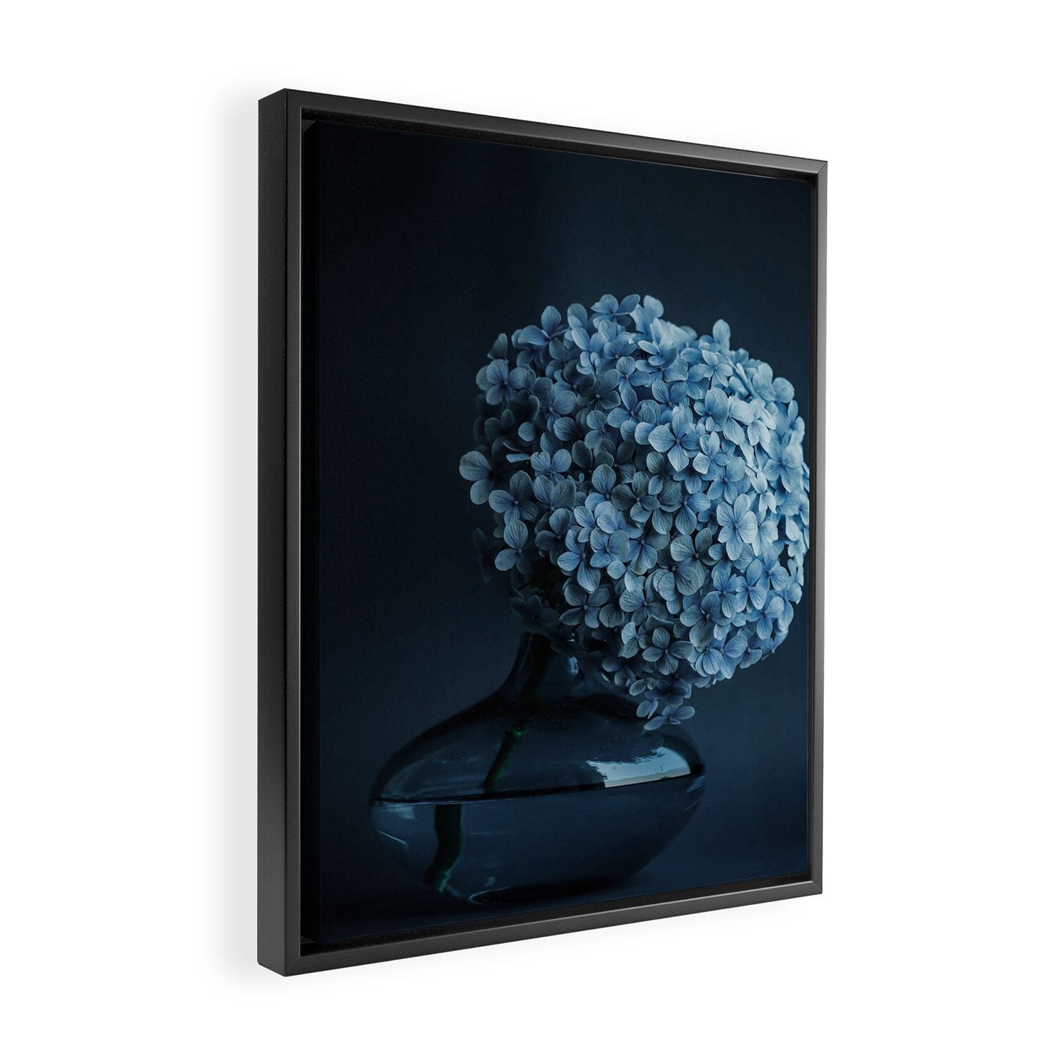 Flowers - Dark Blue Hydrangea Still Life Framed Canvas Print Gallery Image 2