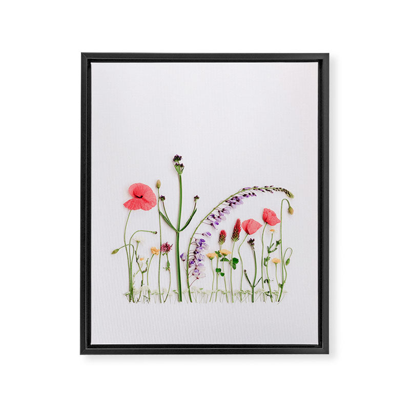 Flowers Flat Lay - Colorful Mixed Wildflowers - Poppies - Floral Framed Canvas Print Gallery Image 6