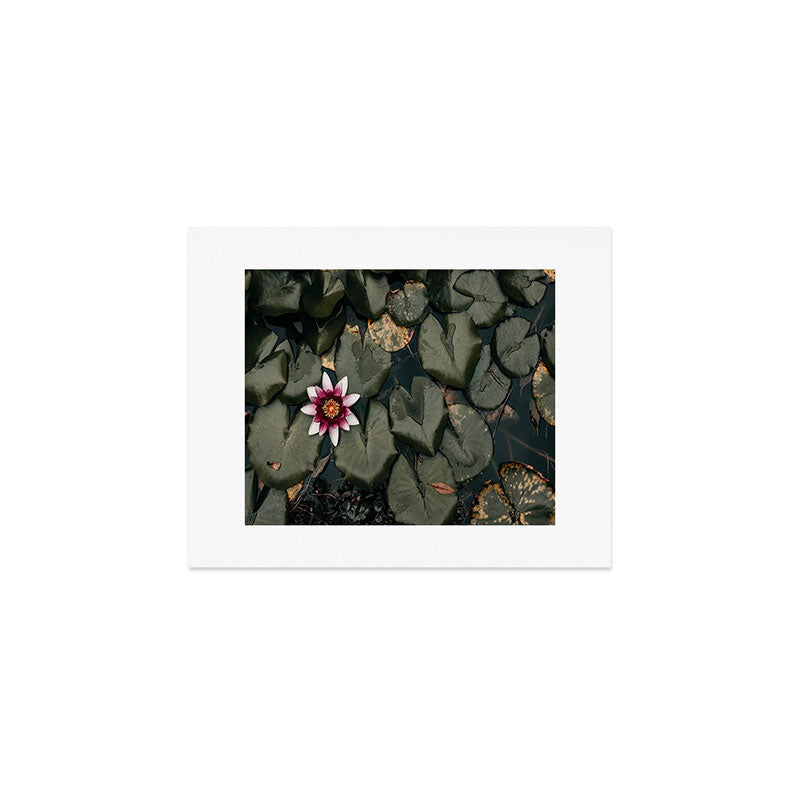 Lily Pond Art Print Gallery Image 1
