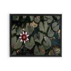 Lily Pond Framed Canvas Print Gallery Image 12