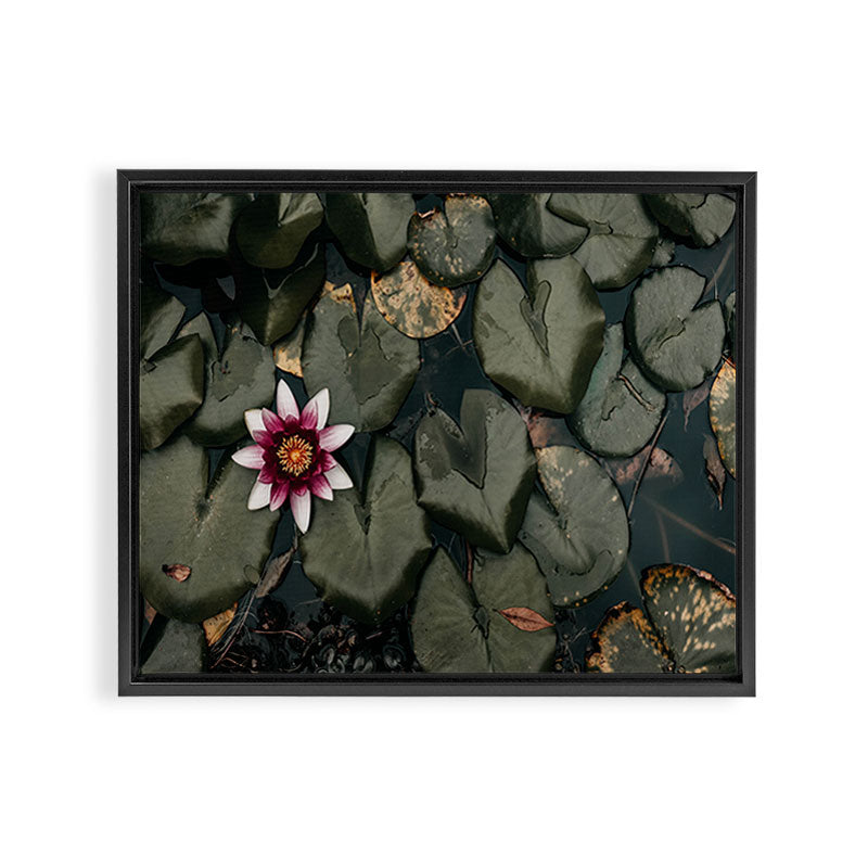 Lily Pond Framed Canvas Print Gallery Image 12