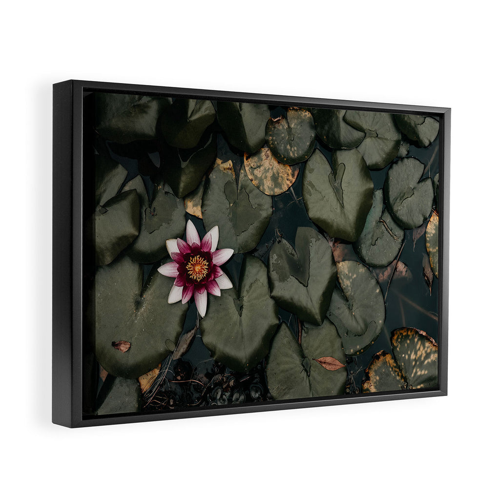 Lily Pond Framed Canvas Print Gallery Image 2