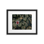 Lily Pond Framed Art Print Gallery Image 5