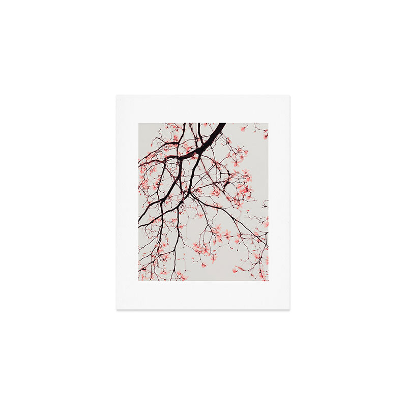 Magnolia Flowers - Pink spring blossoms Art Print Gallery Image 1