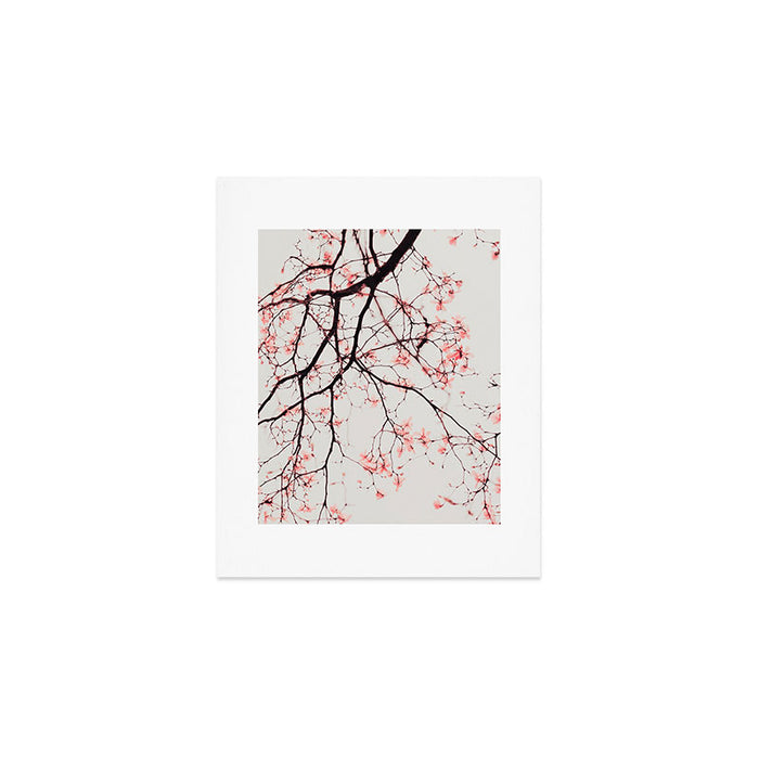 Magnolia Flowers - Pink spring blossoms Art Print Gallery Image 1