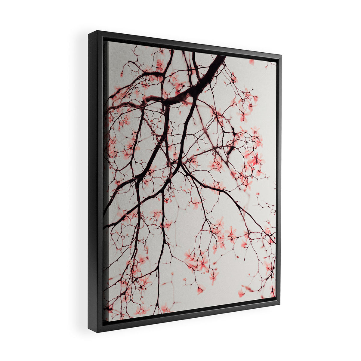 Magnolia Flowers - Pink spring blossoms Framed Canvas Print Gallery Image 2